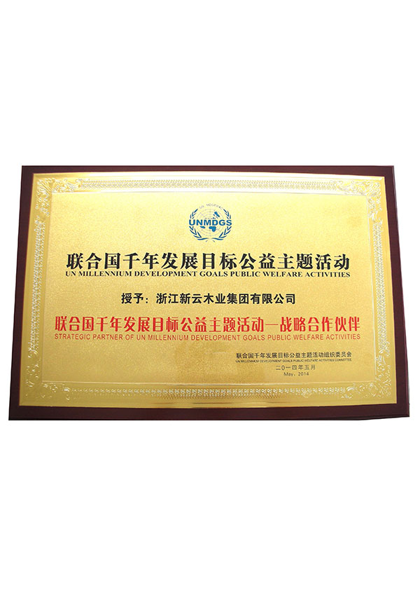 聯(lián)合國千年發(fā)展目標(biāo)公益主題活動