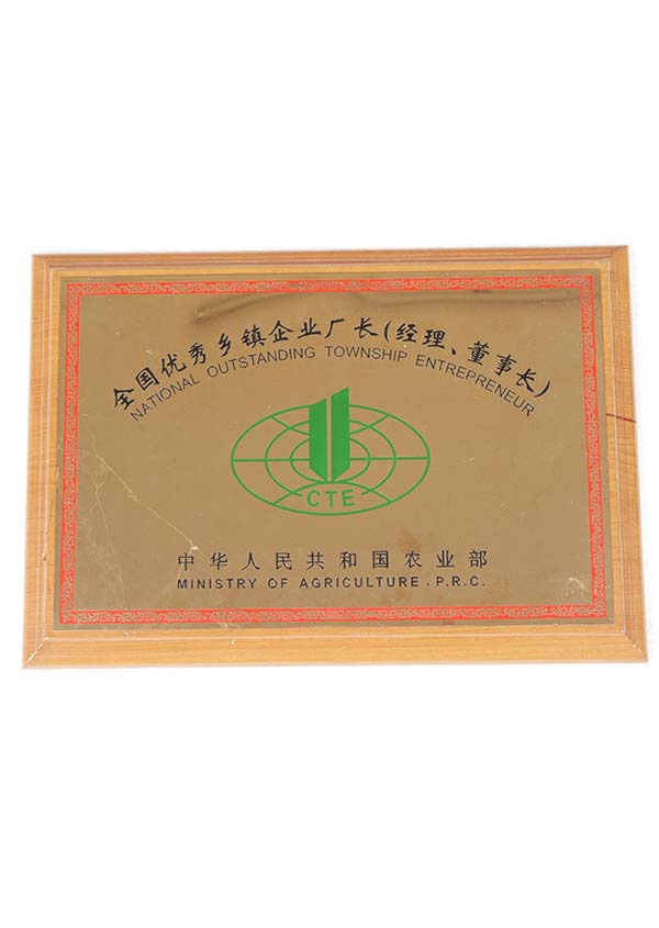 全國優(yōu)秀鄉(xiāng)鎮(zhèn)企業(yè)廠長